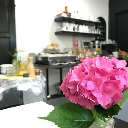 Boutique U Rolanda, Mikulasske Namesti Fogadó 3*